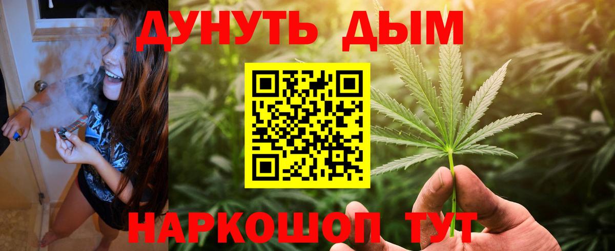 Конопля конопля Печора